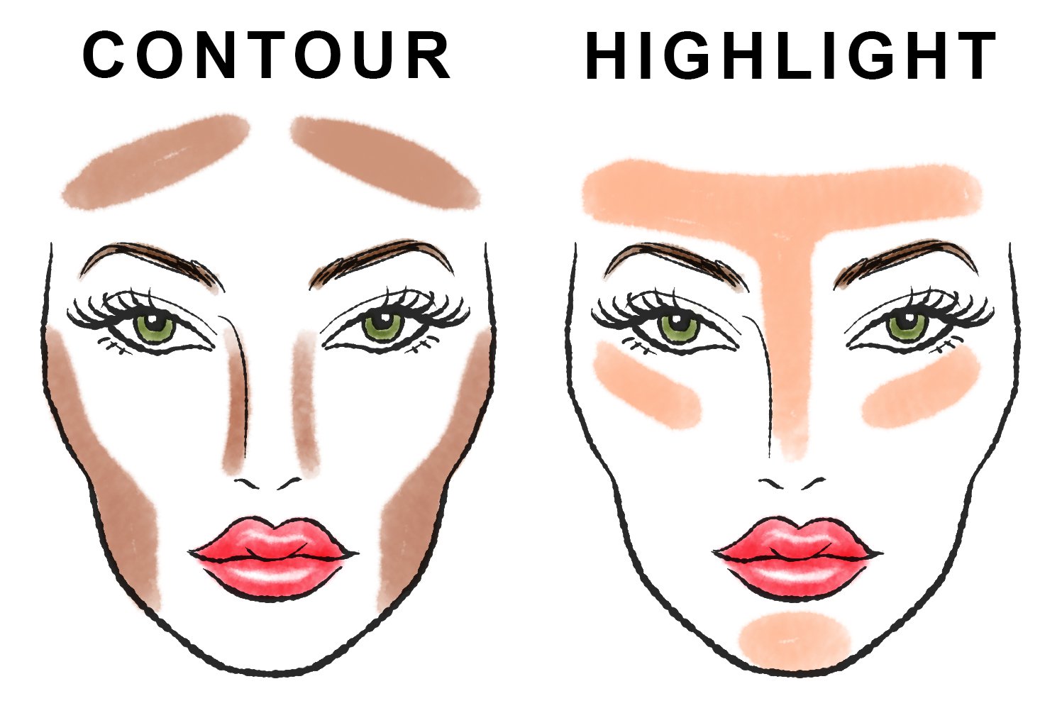 Contouring & Highlighting the face Explained